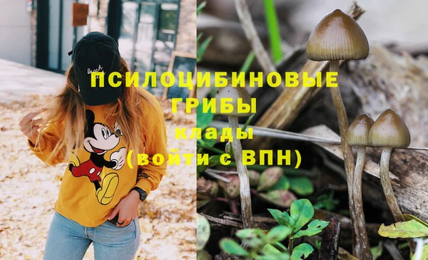 мдпв Балабаново