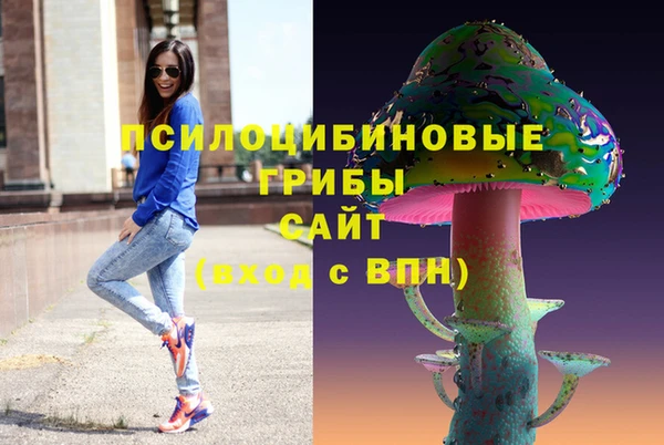 гашик Баксан