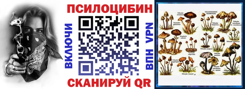 Псилоцибиновые грибы Cubensis  как найти   Щигры 